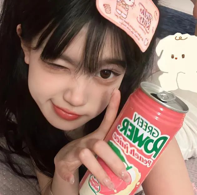 疯狂的狮王